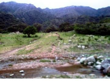Campo , Villa Larca · Excelente Fración en Piscu Yaco