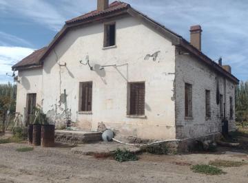 Campo · 110ha · Venta Chacra Cinco Saltos