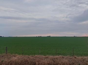 Campo · 600000m² · Campo Suelo 1 en San Eduardo