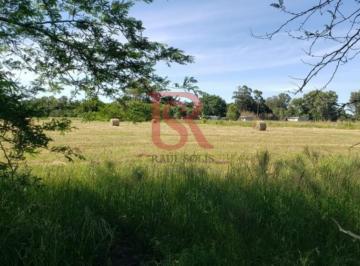 Terreno · 15000m² · Es - Lotes en Venta