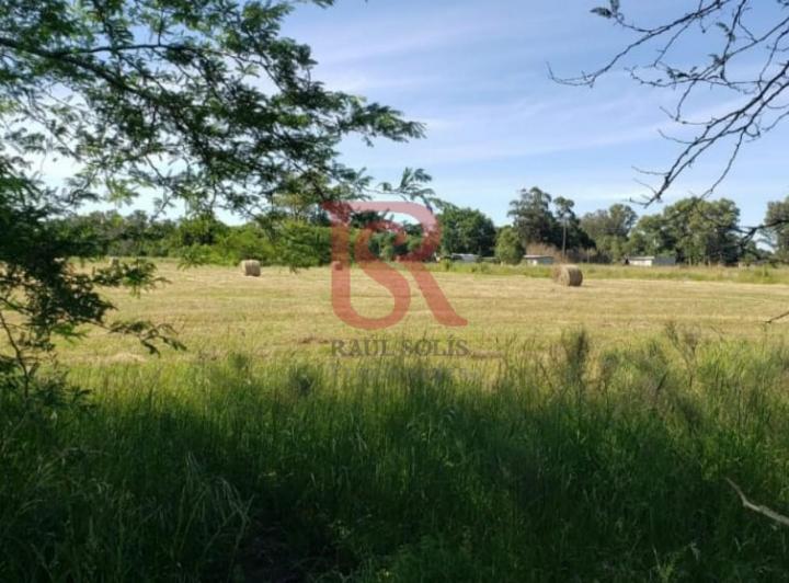 Terreno · 15000m²
