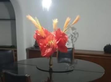 LINVIG / COMEDOR · Dueño Alquila Casa 2 Dorm. con Patio y Aa