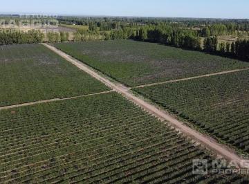 Campo · 300m² · 4 Ambientes · Finca en Venta