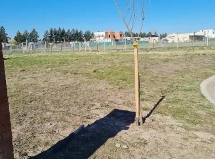 Terreno · 640m²