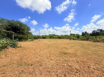 Terreno · 193m² · Alquiler de Terreno Logístico en Paso de La Arena