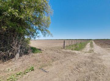 Campo de 1 ambiente, Romang · En Venta Campo Mixto