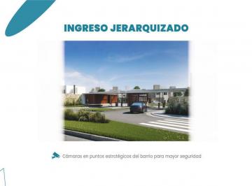 Terreno · 360ha · Terreno - Piñero