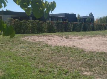 Terreno · 1500m² · Lote en Venta, B Privado, El Envero, Lujan de Cuyo