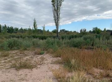 Terreno , Los Corralitos · Venta de Lote en Los Corralitos