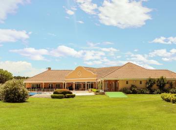 Terreno , San Vicente · Lote en Venta Fincas de San Vicente