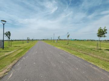 Terreno · 1070m² · Terreno con Fondo Reservorio y Perfecta Ubicación