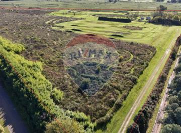 Terreno · 276607m² · Venta - Campo 27,6 Hectáreas - Zárate R31 y R193