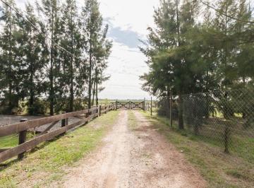 Terreno · 1600m² · Lote 1600 m² en Venta Bo. Las Casuarinas - Cañuelas