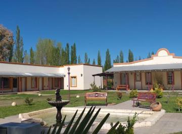 Local comercial · 215m² · 8 Cocheras · Alquiler Apto Salud, Turismo, Oficinas | Plottier