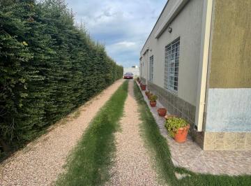 Quinta vacacional de 6 ambientes, San Rafael · Comercializamos Esta Impresionante Propiedad de Rama Caída, San Rafael, Mendoza