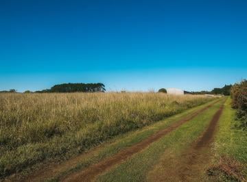 Campo · 600m² · 9 Ambientes · 5 Cocheras · Campo en Sierra de Los Padres