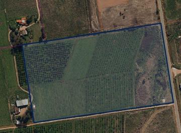 Terreno · 79285m² · Alquiler Cno Bajo La Petisa Logistica E Industrial