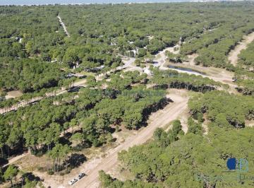 Terreno · 1040m² · 3011 - Lote en Bosques