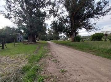 Terreno , Miramar · Terreno en Venta Bristol Miramar