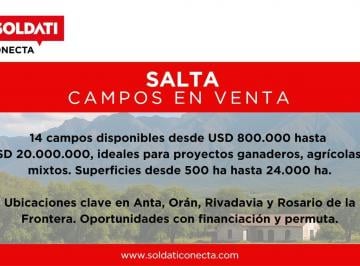 Campo · 10000m² · Campos Disponibles Prov. Salta