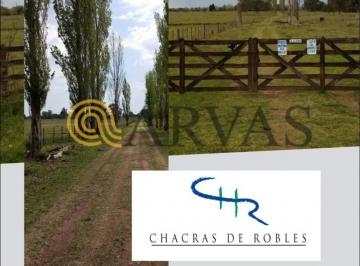 Terreno , Exaltación de la Cruz · Capilla del Señor - Chacra de Robles