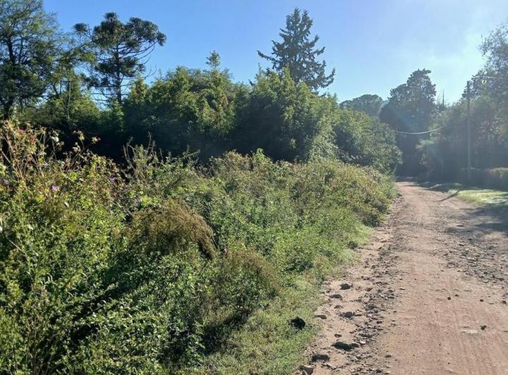 Terreno · 800m²
