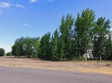 Terreno · 1124m² · Venta de Lote 1124 m² en Barrio Cerrado Los Canales de Plottier, Plottier