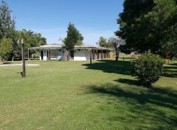 Campo · 500m² · 5 Ambientes · 5,5 Has Chacra en Venta en Chascomus - Ideal Cria de Caballos. Importantes Mejoras - Retasado!