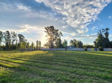 Terreno , Moreno · Lote Industrial en Pim I - Financiación - 2.500 m²