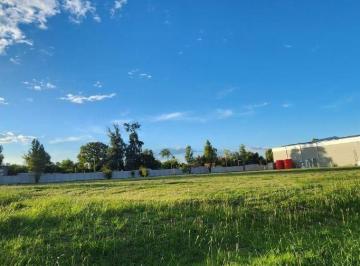 Terreno , Moreno · Lote Industrial en Pim I - Financiación - 2.500 m²