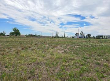 Terreno · 1015m² · Alquiler Terreno Parque Industrial Cipolletti