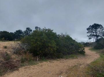 Terreno · 501m² · Terreno Alto, La Viuda en Venta Punta del Diablo