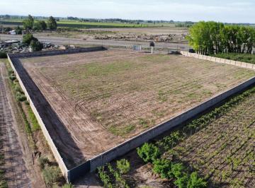 Terreno · 16000m² · Alquiler Terreno 16.000 m. Acc. Este Palmira S. m.