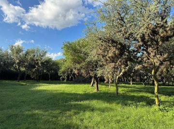 Terreno , Carpintería · Lote en Venta en Altos de Carpinteria