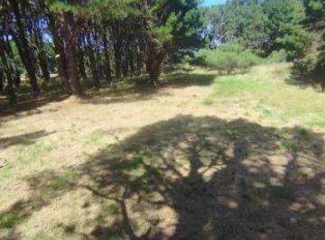 Terreno · 750m² · Terrenos en Venta Conjunta - 750 m² - Chapadmalal