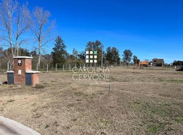 Terreno · 473ha · Terreno Lote en Venta en Santa Elisa, Pilar del Este, Pilar