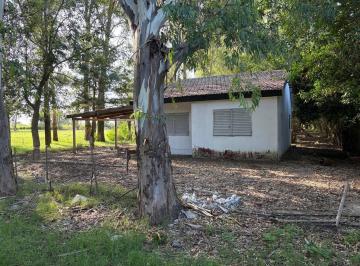 Terreno · 10000m² · Hectarea con Casa, Se Alquila. Arbolada