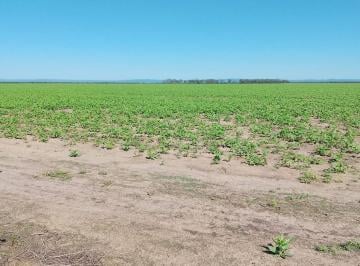 Campo · 12000000m² · Venta Campo 1.200 Hectáreas Santiago del Estero