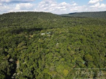 Campo · 90580000m² · Venta 9058 Has Salta Bosques Nativos Ideal Bonos Verdes