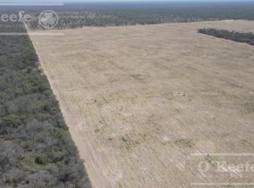 Campo · 41000000m² · Campo en Venta 4100 Ha Santiago del Estero. Apto Bonos Verde