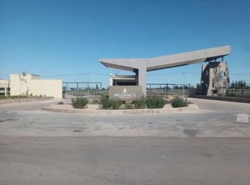 Terreno · 500m² · Remax Vendimia Vende Lote