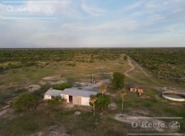 Campo · 300m² · 3 Ambientes · Campo en Venta 1217 Has en Villa Guillermina, Santa Fe.