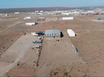 Bodega-Galpón , Añelo · Vaca Muerta - Localidad de Añelo - Neuquén - Galpón en Alquiler