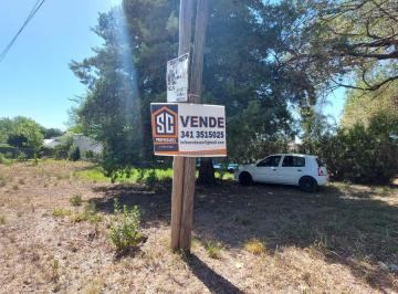 Terreno · Terreno - Andino