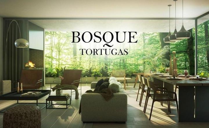 Desarrollo vertical · Bosque Tortugas