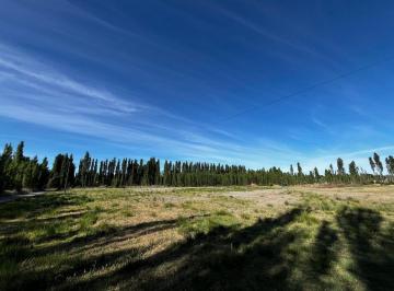 Campo · 2ha · Venta de Chacra 2 Ha, Percy Clark - Plottier
