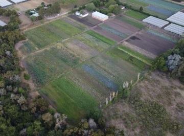 Terreno · 18000m² · Terreno en Venta - 18.000 m² - Abasto