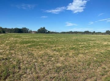 Campo · 257600m² · Campo de 26 Has en Venta en Canning, Ezeiza. Ruta 52 y Paso de Los Libres.
