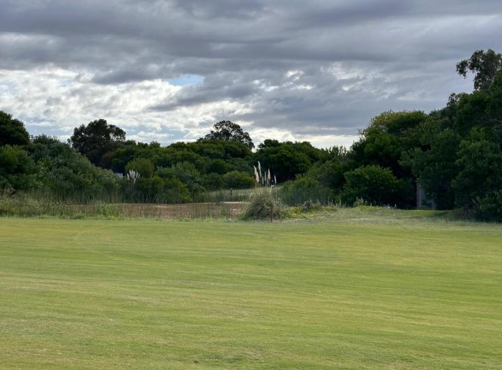Terreno · 1000m²