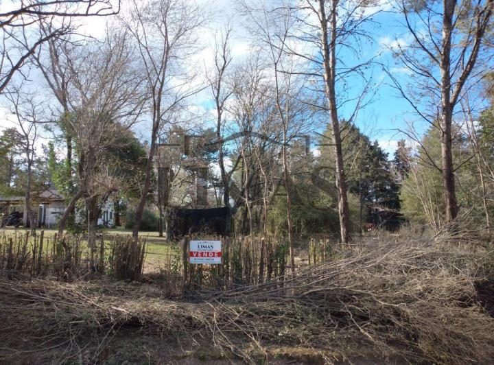 Terreno · 1000m²